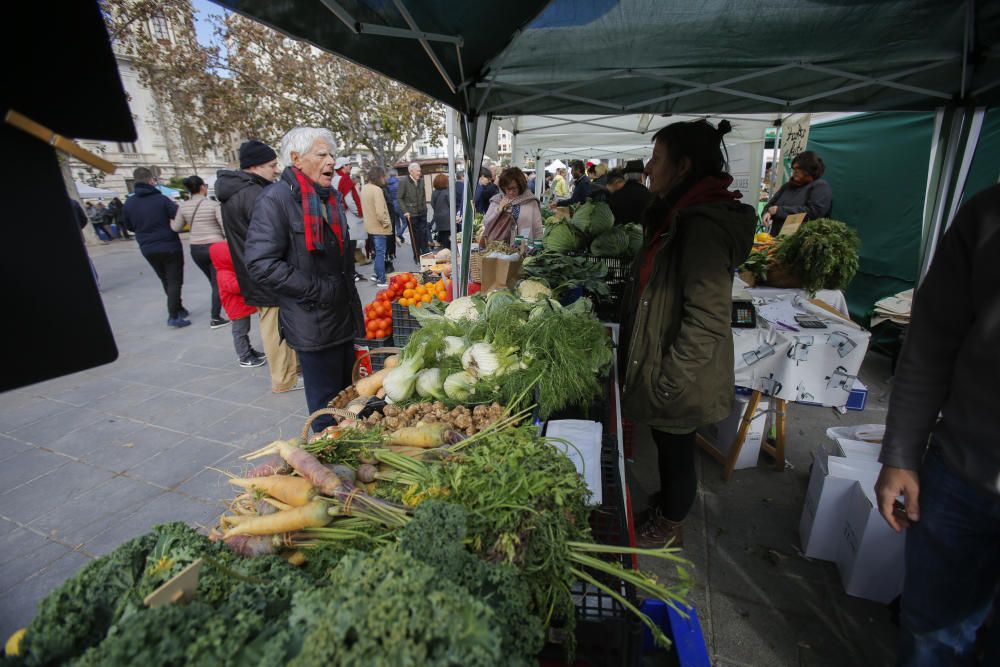 'De l'horta a la plaça' en la plaza del Ayuntamiento, de València