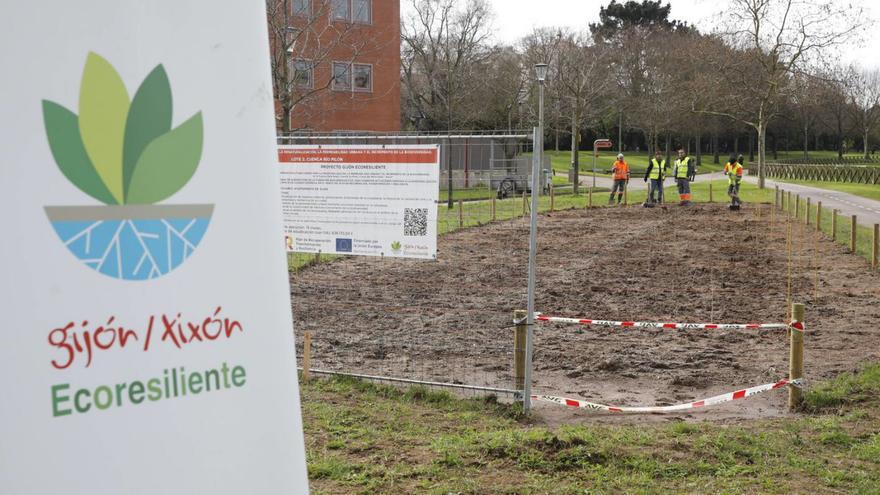 Operarios en la plantación de un minibosque en Moreda, dentro del proyecto «Gijón Ecoresiliente» que se financia con fondos europeos del Plan de Recuperación, Transformación y Resiliencia.