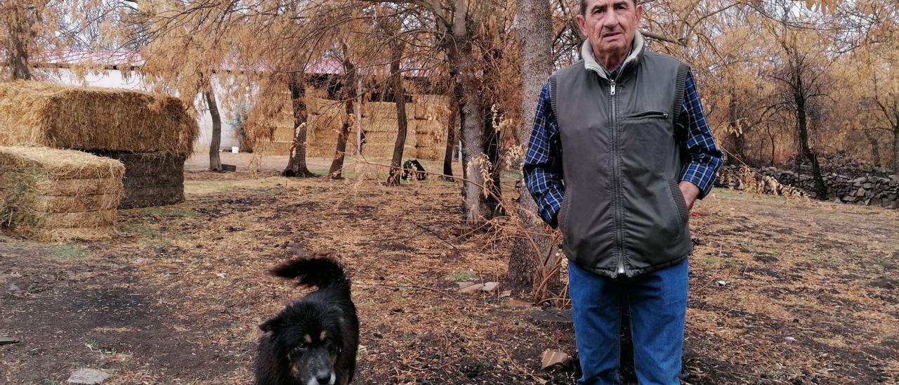 Santiago León junto a uno de sus perros en la explotación de San Martín de Tábara | |  I. G.