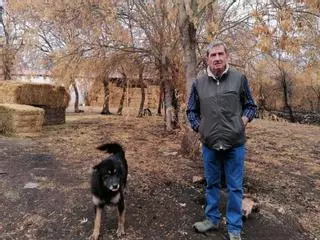 “Dos meses y medio después del incendio de Losacio siguen muriendo animales”