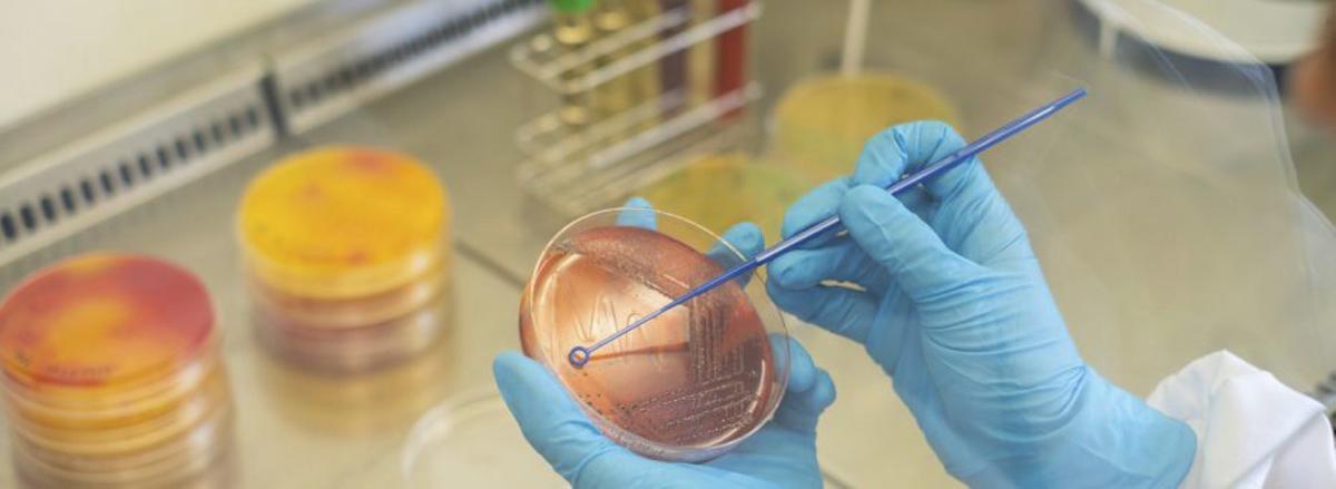 Asincar impulsa la modermización del sector agroalimentaroio