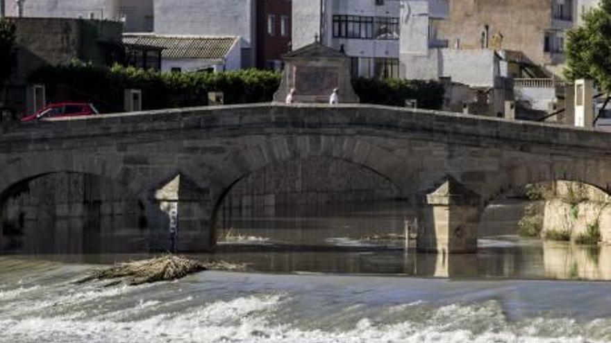 La calidad de los recursos: Harina  de otro costal