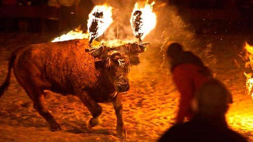 El toro de fuego de Medinaceli vuelve a desatar la polémica