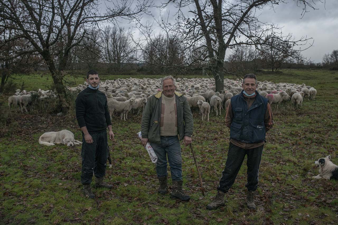 Samuel, Alfonso y José, junto a su cabaña de ovejas en A Venda Nova, Taboadela