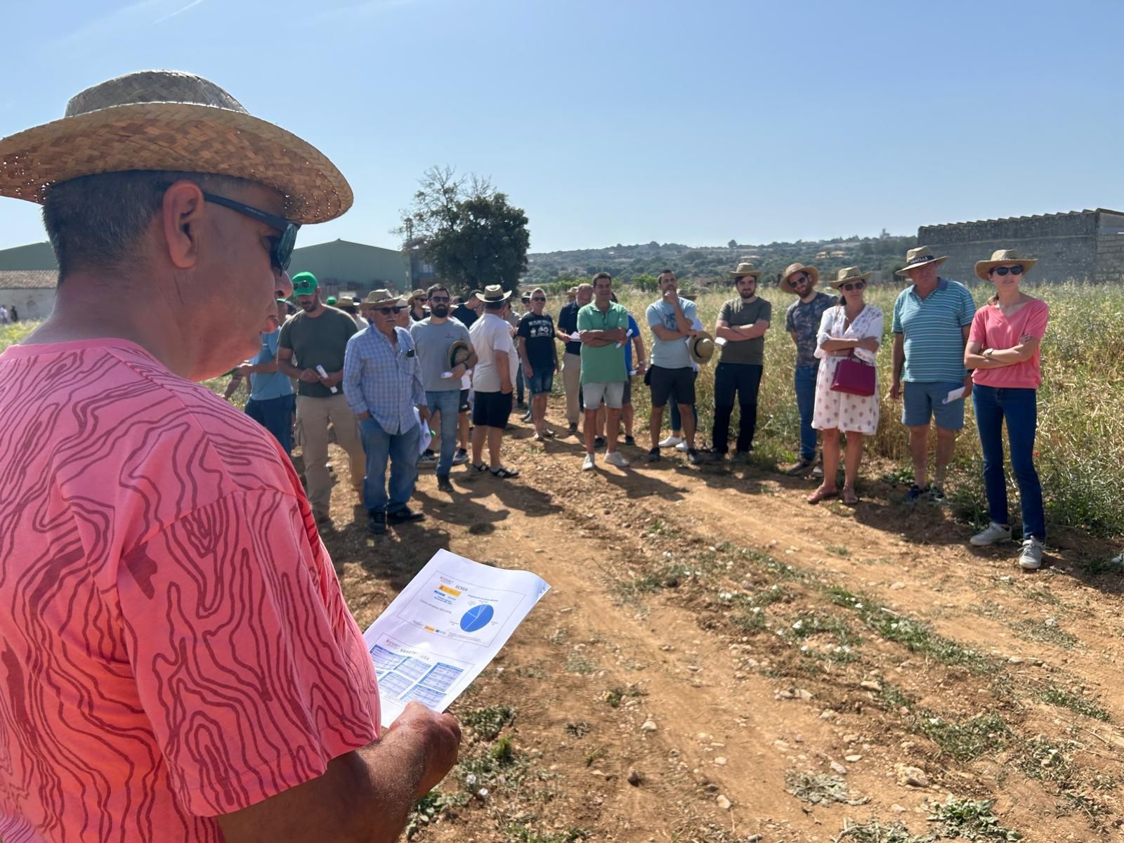 Agricultura | La jornada en el campo experimental de cereales en Maria de la Salut, en imágenes
