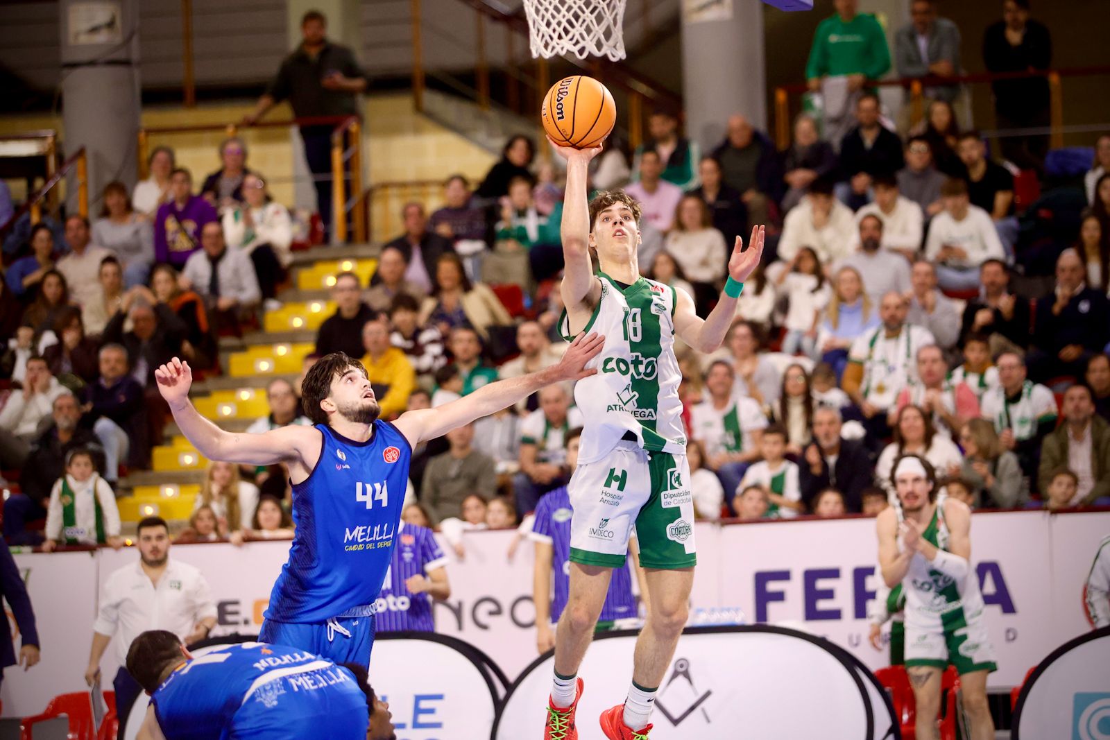 Coto Córdoba Baloncesto - Melilla | El partido de Segunda FEB, en imágenes