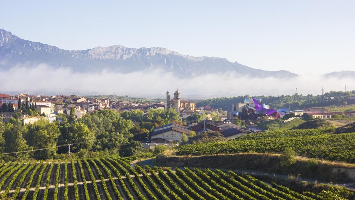 Una de las variedades de uva más selectas