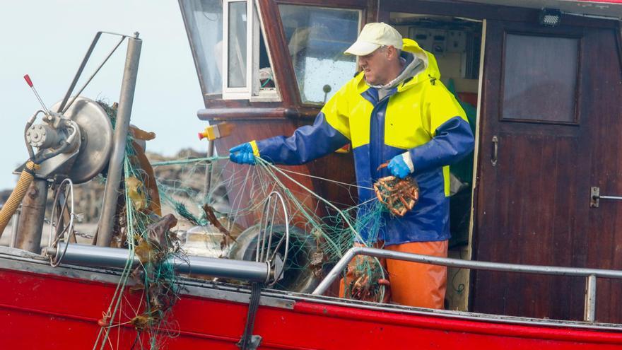 Un pescador extrae varios ejemplares de centollo de una red.