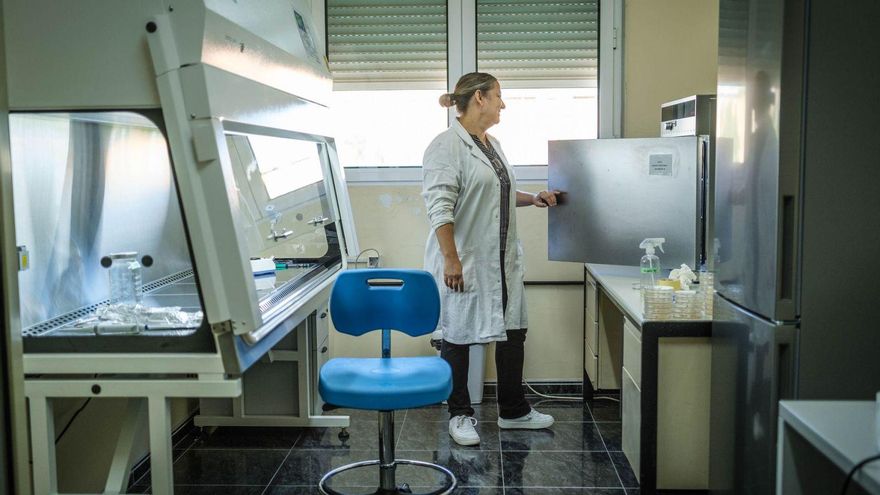 Laboratorio del Instituto de Productos Naturales y Agrobiología en el que se realiza esta investigación.