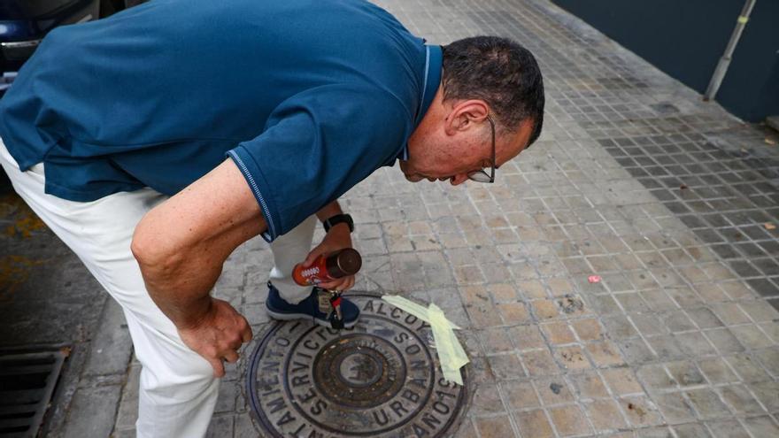 Una plaga dfe cucarachas emerge de una alcantarilla en la Zona Norte de Alcoy tras una desinfección
