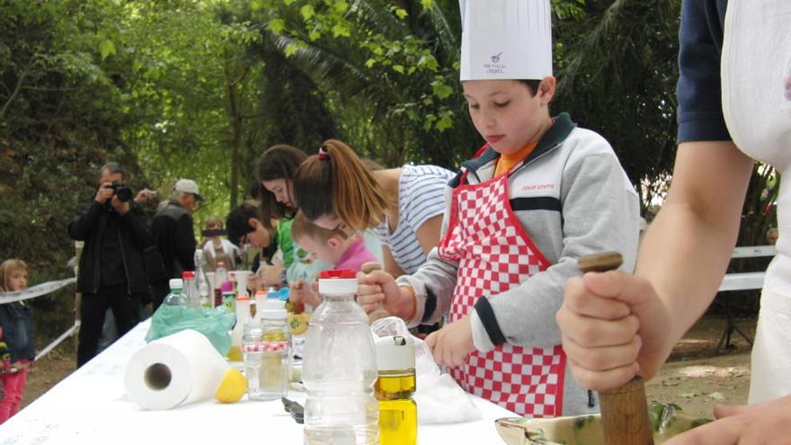 El taller és gratuït