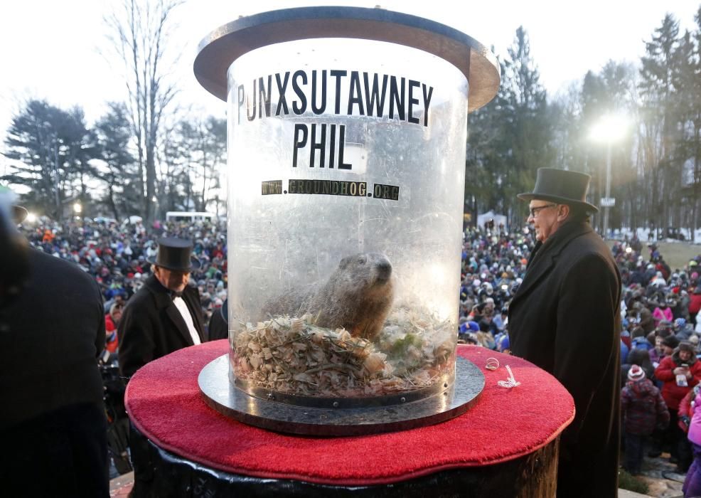 La marmota Phil prediu un hivern llarg als EUA