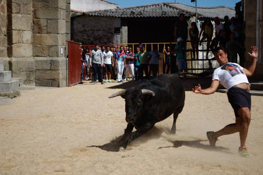 Encierro urbano en Bermillo de Sayago