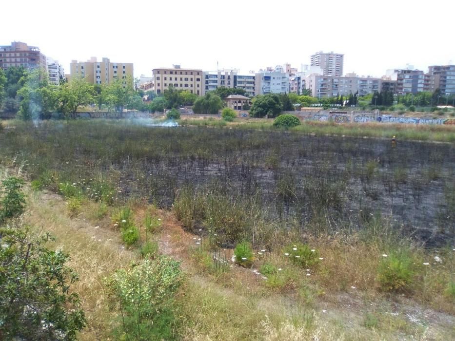 Declarado un incendio de rastrojos en el antiguo canódromo de Palma