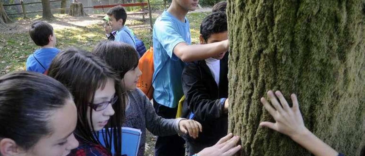 Los alumnos de tercero, cuarto y quinto de Primaria de Rubiáns se quedaron encantados con la visita a O Castriño. // Noé Parga