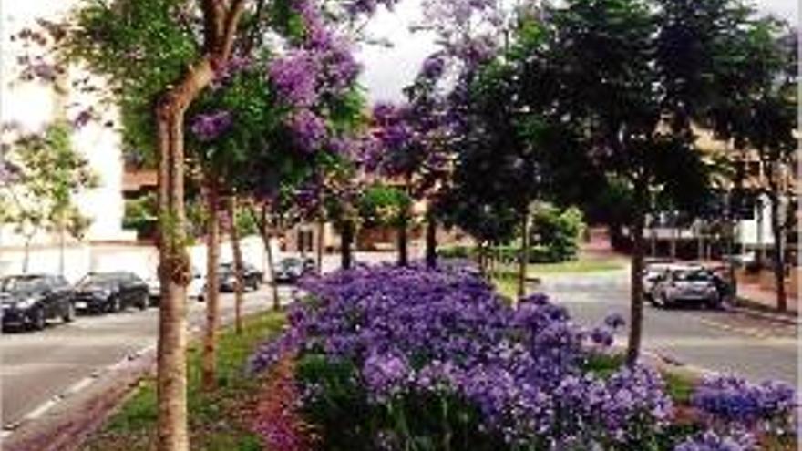 Imatge d&#039;un carrer de Lloret de Mar amb arbres i plantes florals.