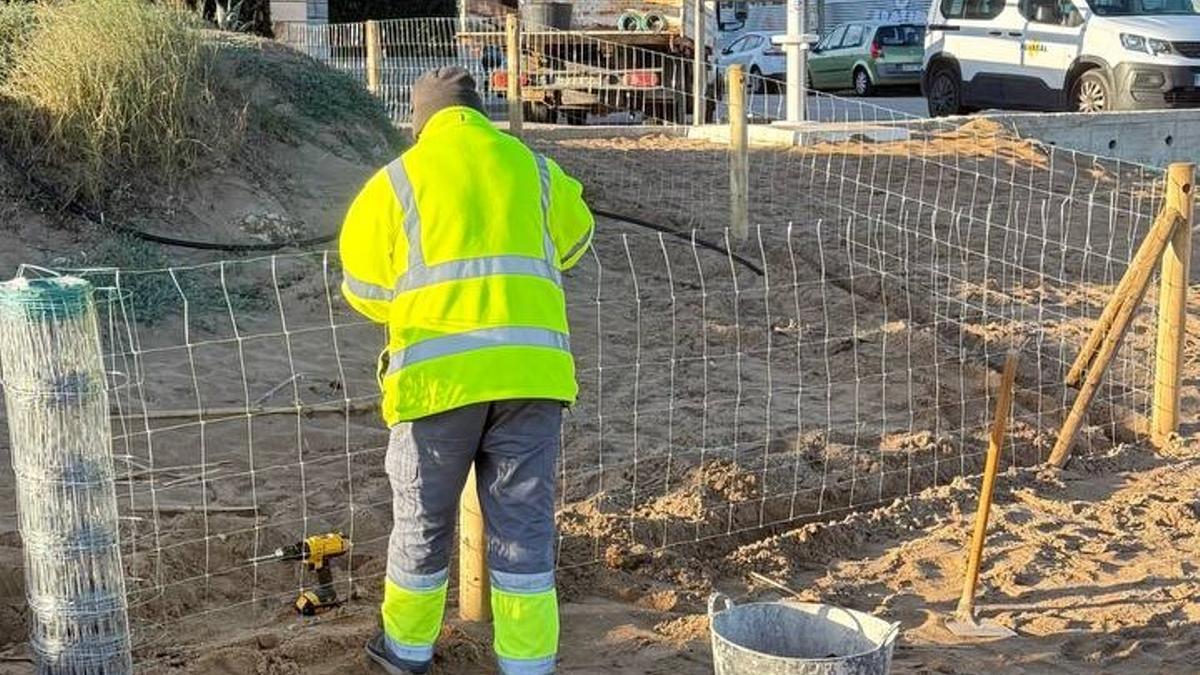 La protecció dels nius de corriolet