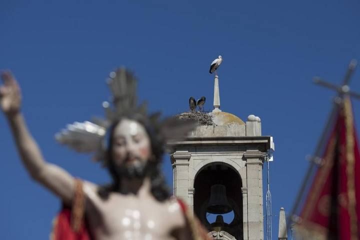 Procesión de la Santísima Resurrección en Zamora