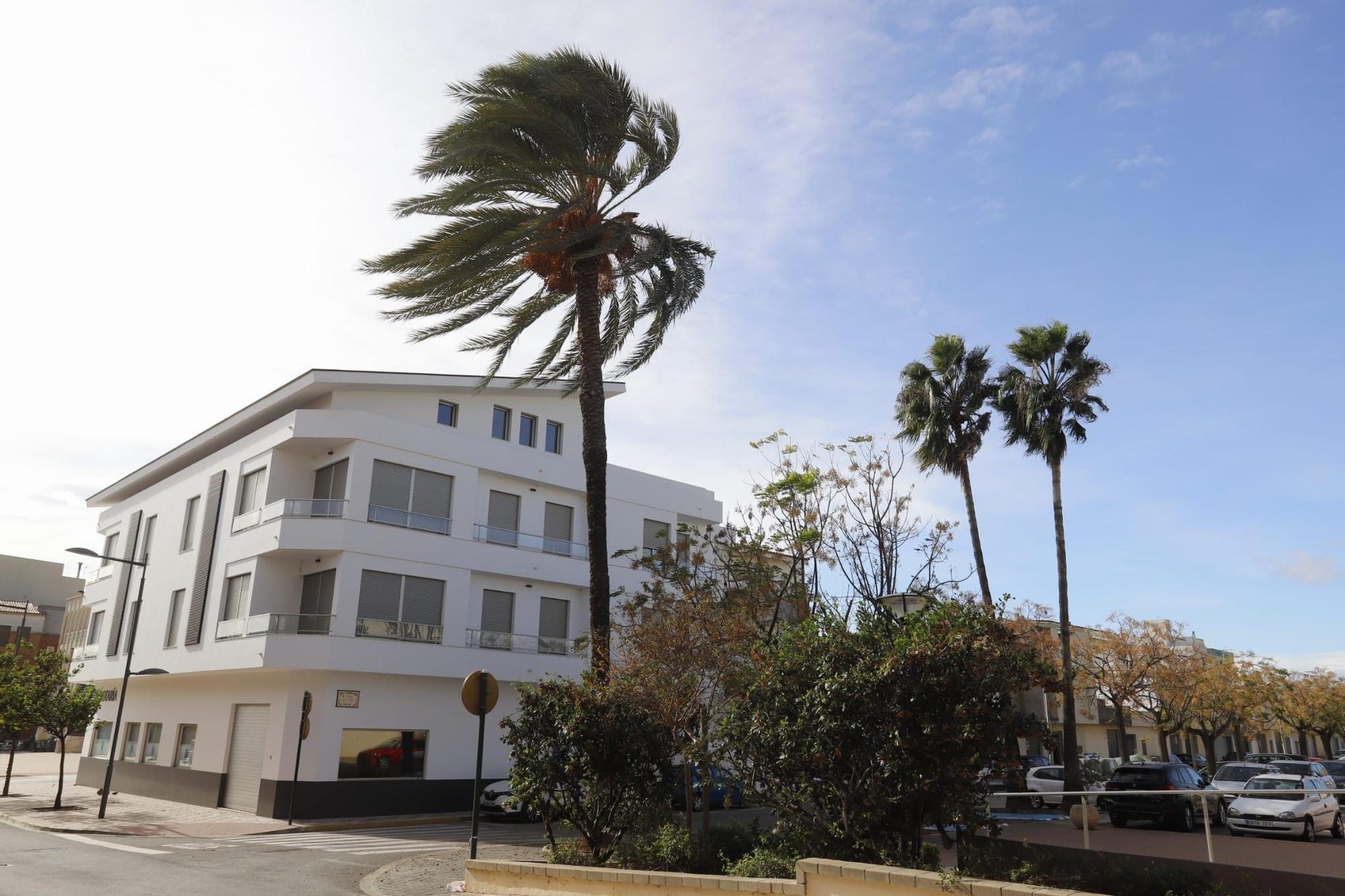 El viento sopla fuerte en Almussafes