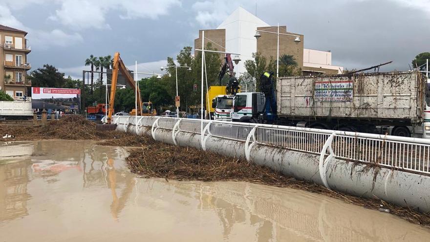 Trabajan para retirar las cañas del río.