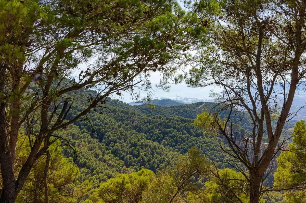 Parque Natural Los Montes de Málaga, uno de los mejores lugares de la provincia para hacer senderismo
