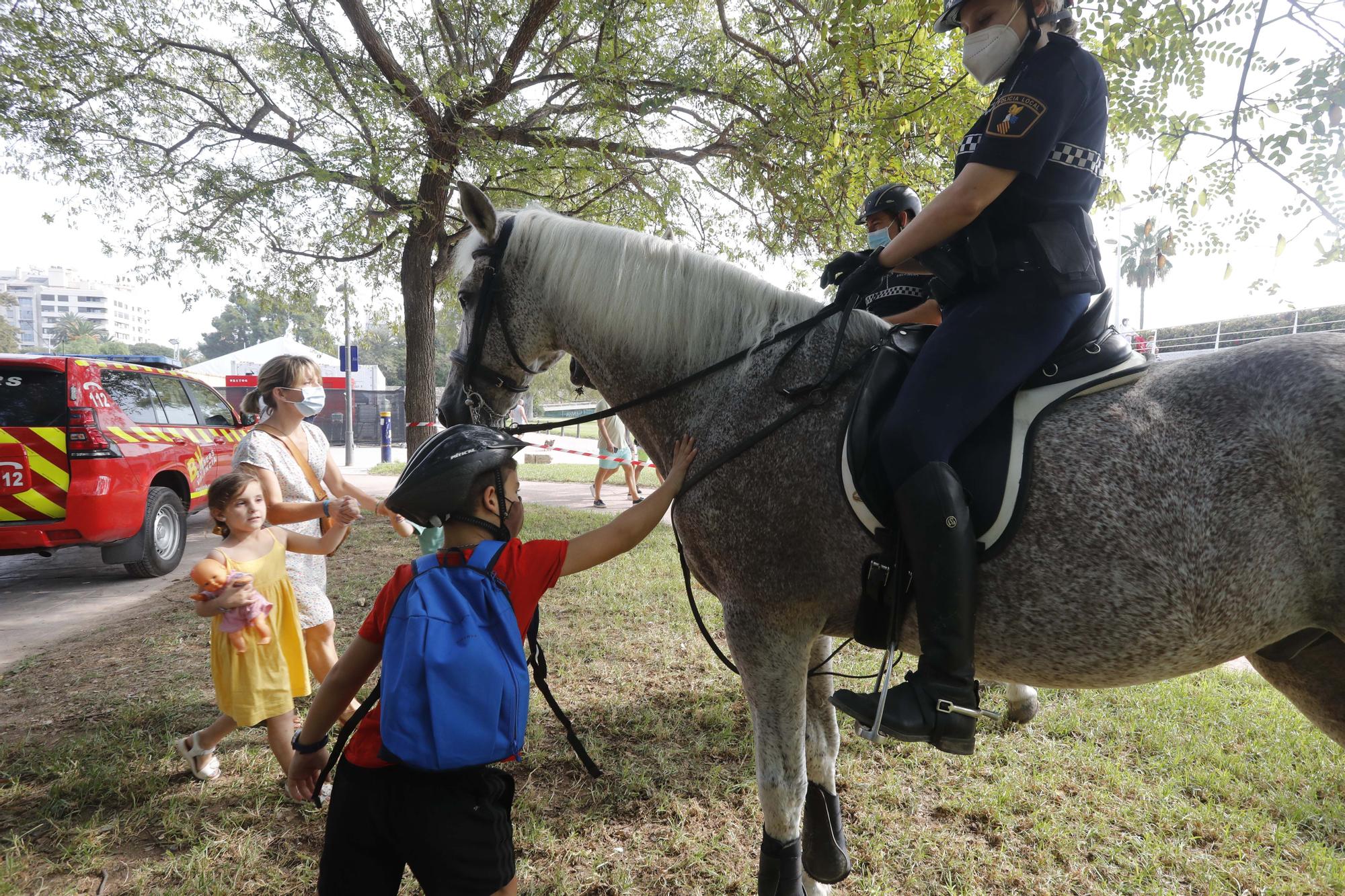 ¡Qué animalada!