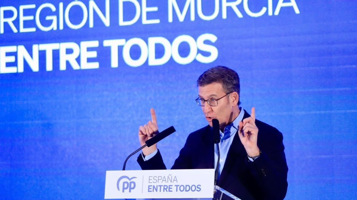 úñez Feijóo: "El Gobierno sigue negociando para ver qué reforma presentan a la ley que ellos mismo hicieron y que es un disparate jurídico".