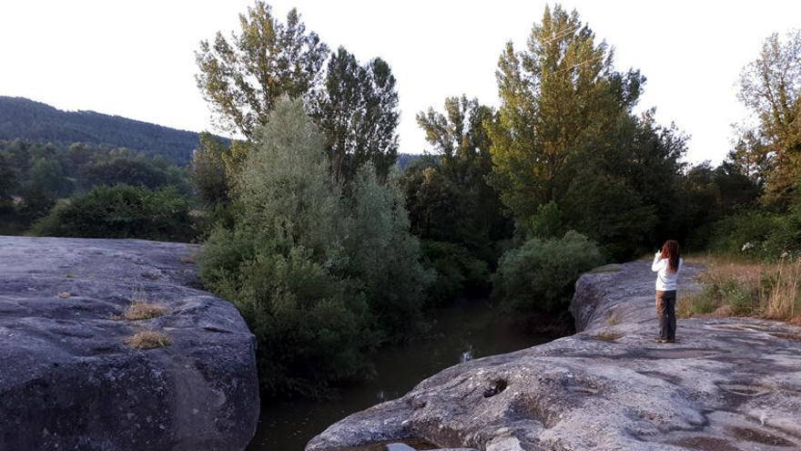 El primer cens de llúdrigues a la Riera de Merlès confirma la presència del mustèlid