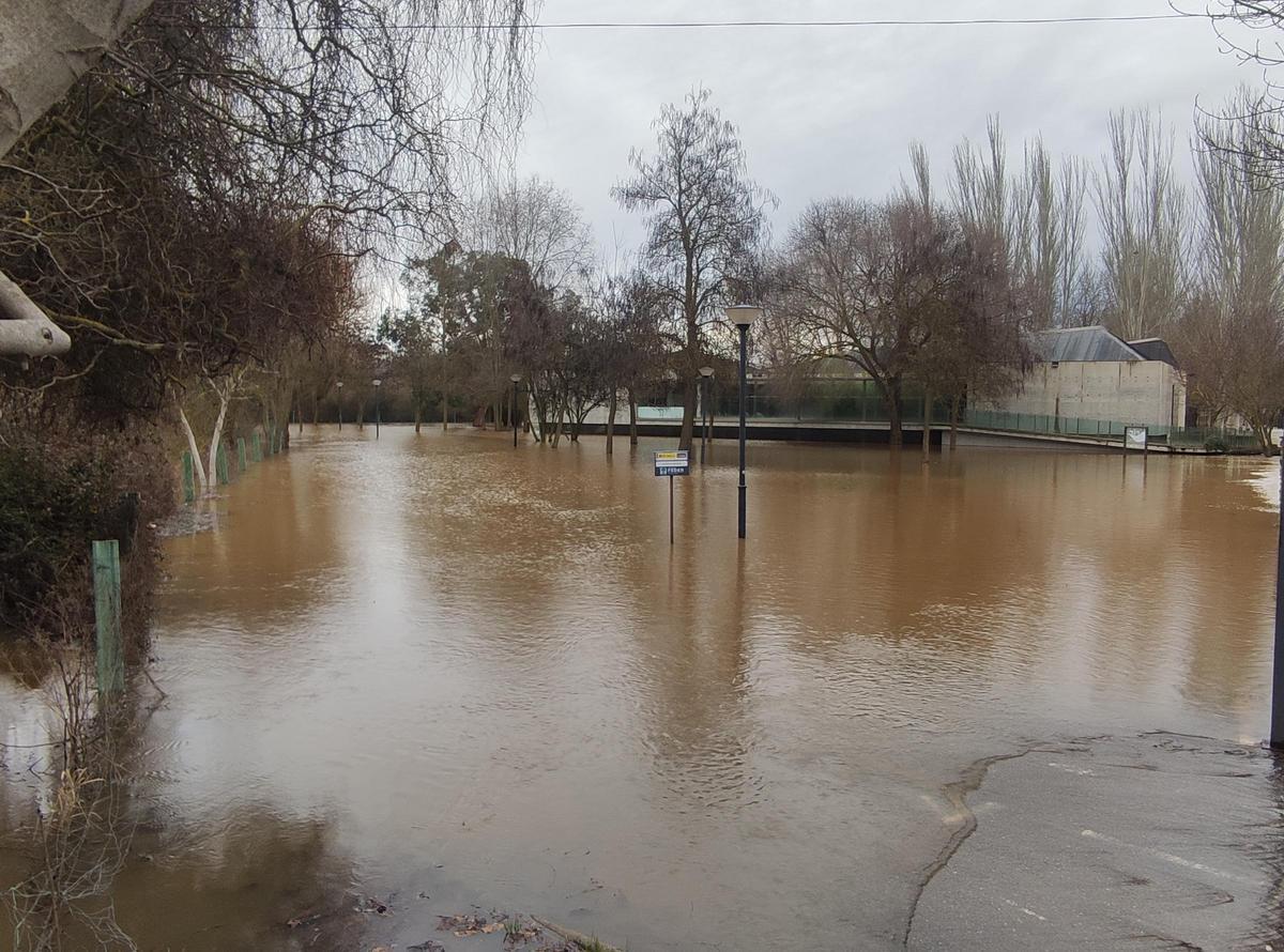 GALERÍA / El río Órbigo desbordado en Benavente, en imágenes GALERÍA / El río Órbigo desbordado en Benavente, en imágenes