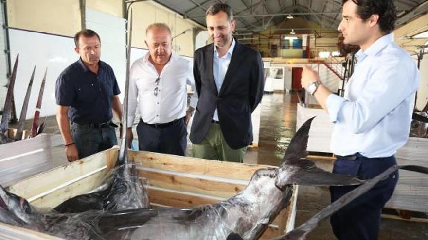 Sánchez, Dolón y Carmona observan las capturas de pez espada, ayer.