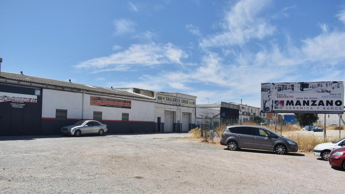 Galería | Así es Charca Musia, en Cáceres