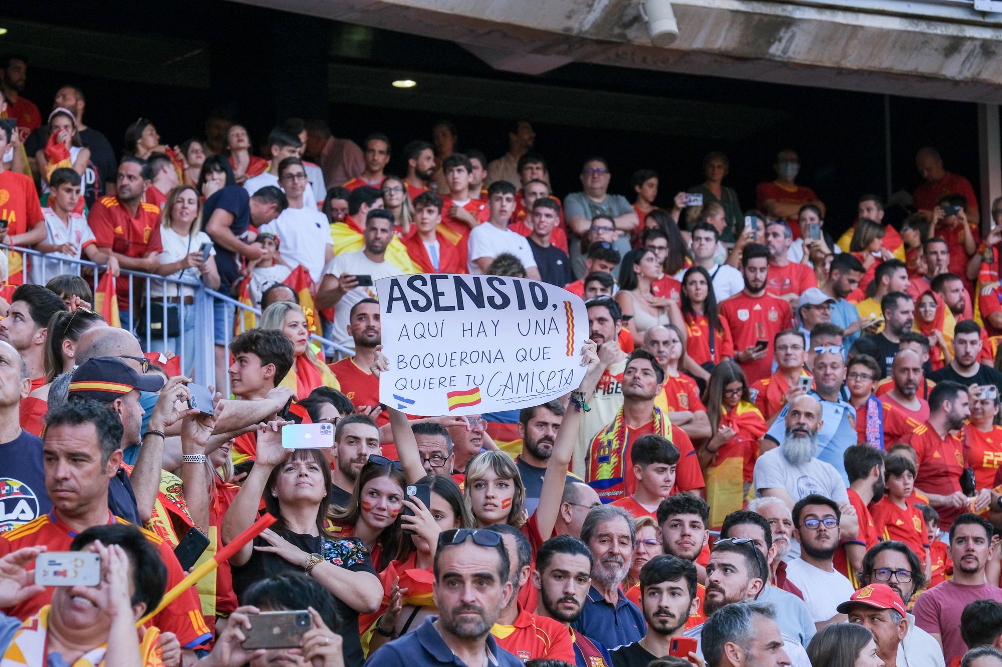 La Rosaleda, volcada con la Selección.