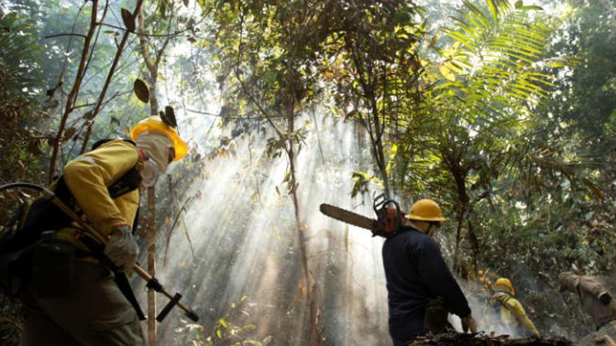 Bomberos se adentran en la selva amazónica de Brasil, cerca de Porto Velho, para combatir las llamas.