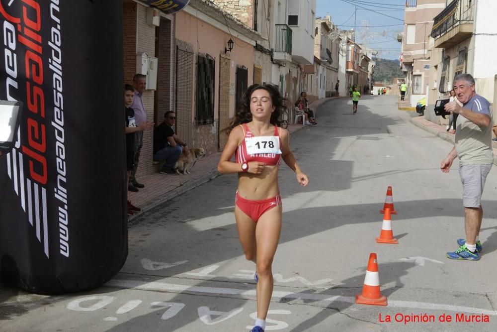 Carrera Virgen del Rosario de Barinas