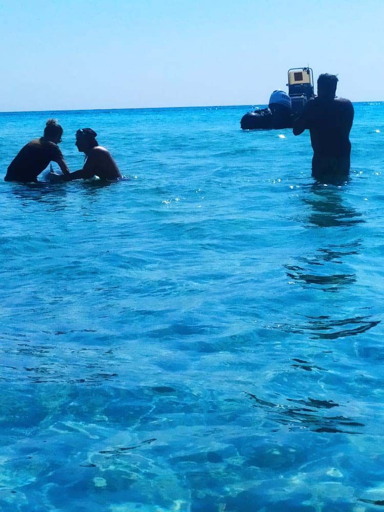 Intentan rescatar a un delfin despitado en la playa de Llevant en Formentera