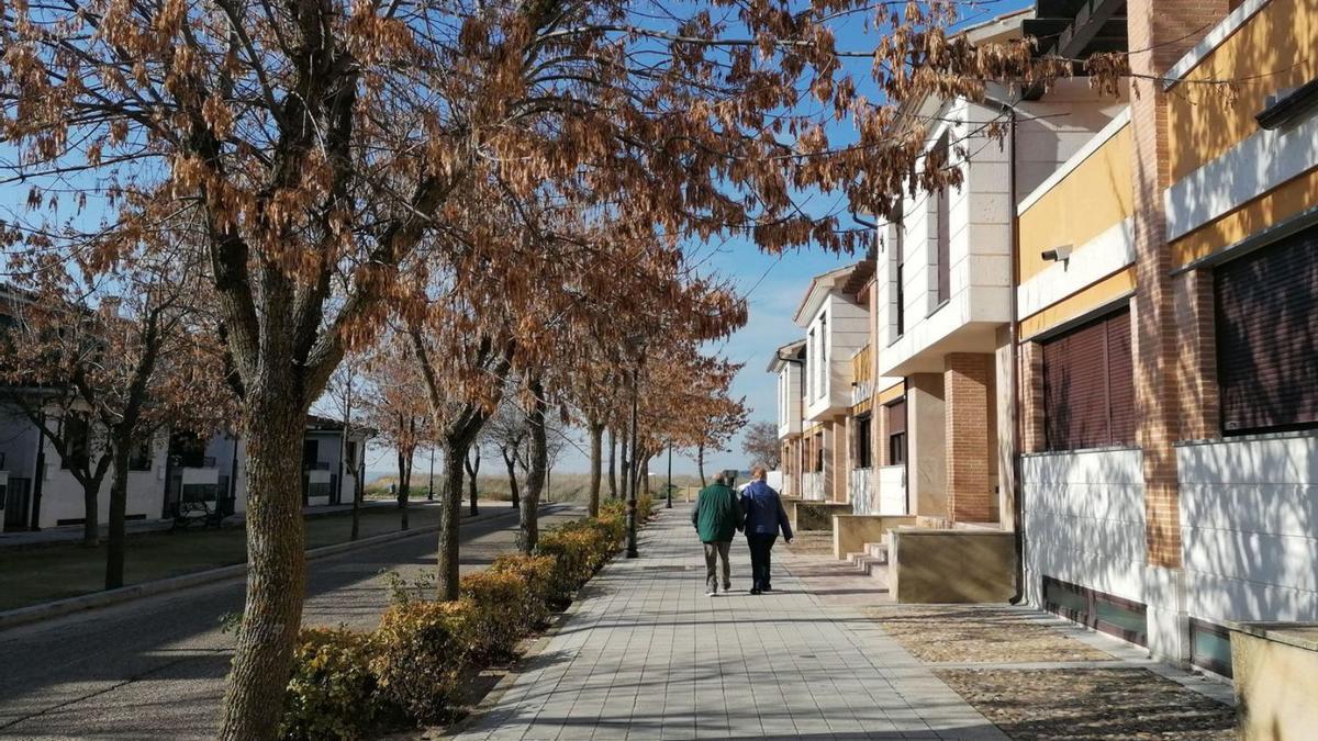 Vecinos pasean por la urbanización de chalets del barrio El Canto de la ciudad de Toro. | M. J. C.