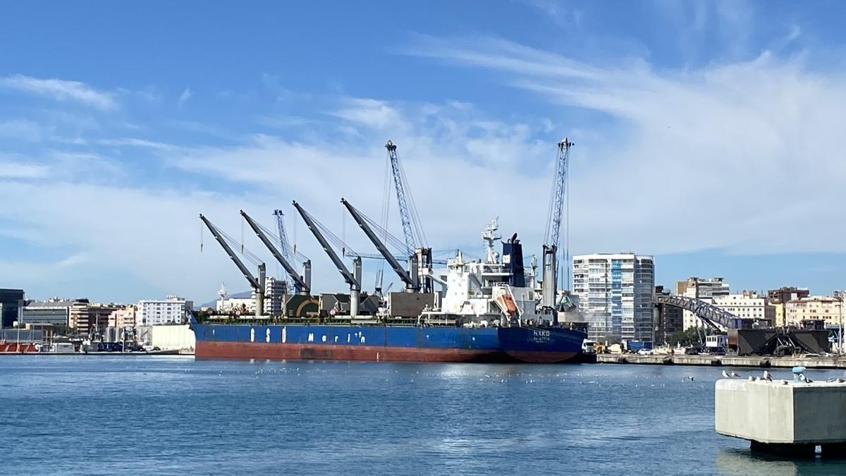 Operativa de 'Hako' en el muelle 7 del Puerto de Málaga.