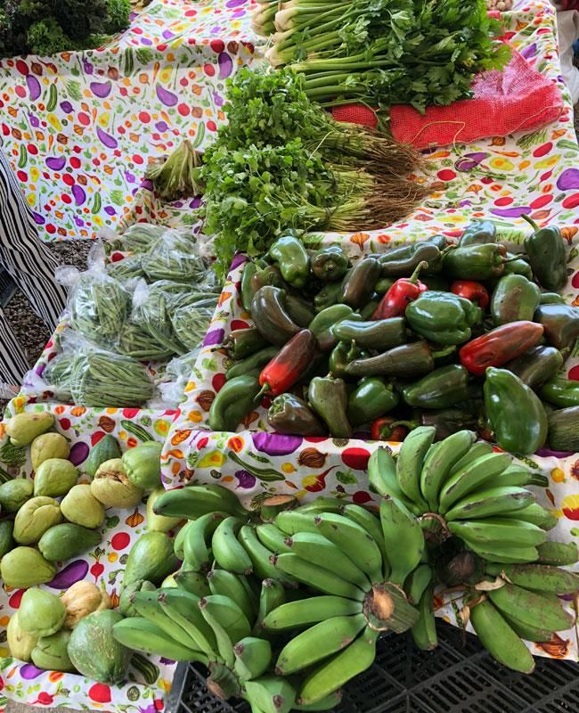 Feria Verde de Aranjuez en San José, Costa Rica