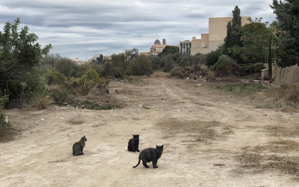 Uno de los viales abiertos en el plan parcial de Bellas Artes de Altea.