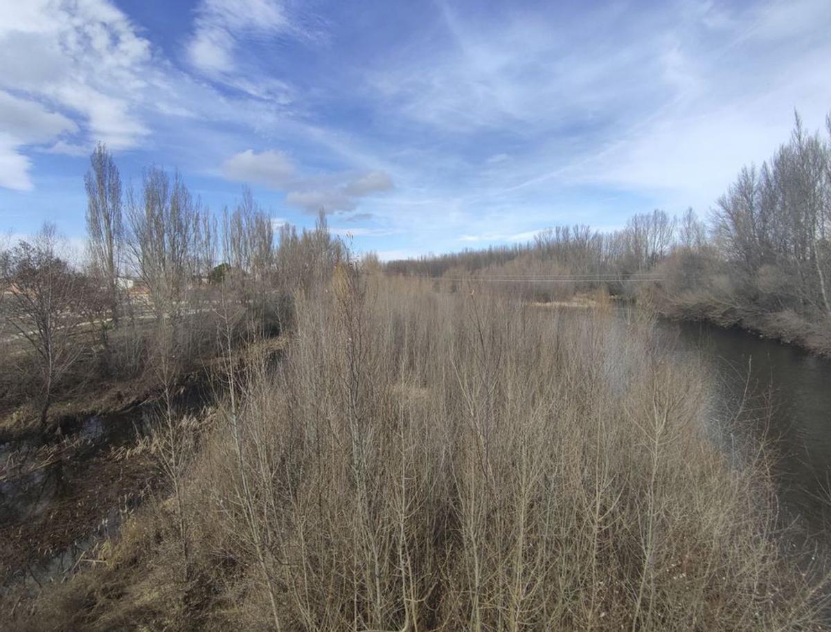 Un gran islote central divide en dos el curso del río ante de alcanzar el puente. La CHD no permite su retirada. | J. A. G.