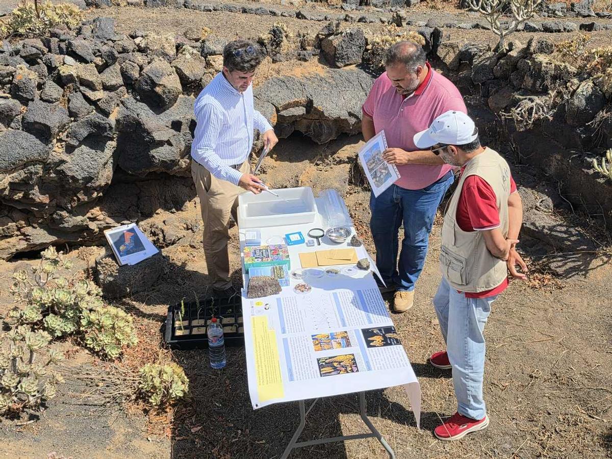 Proyectos de recuperación de terrenos agrícolas en Lanzarote subvencionados por la Reserva de la Biosfera
