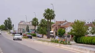 La avenida Reina Sofía de Mérida gana visibilidad y seguridad con el cambio de su vegetación