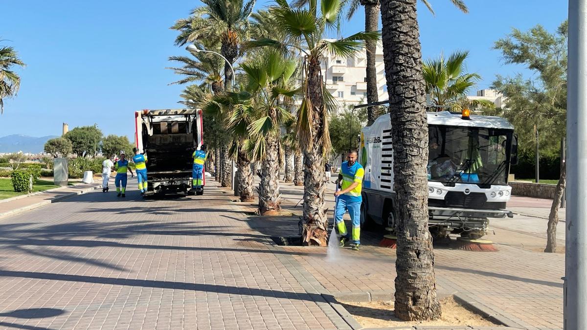 Parte del dispositivo de limpieza y recogida desplegado en la Platja de Palma.