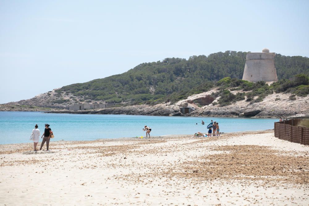 Los grupos de turistas que cada año invaden las playas de Ibiza se han visto sustituidos este año por residentes en ERTE o en busca de empleo