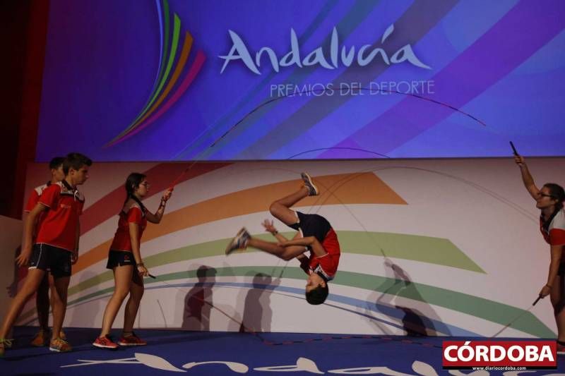 FOTOGALERÍA / Entrega de los Premios Andalucía del Deporte.