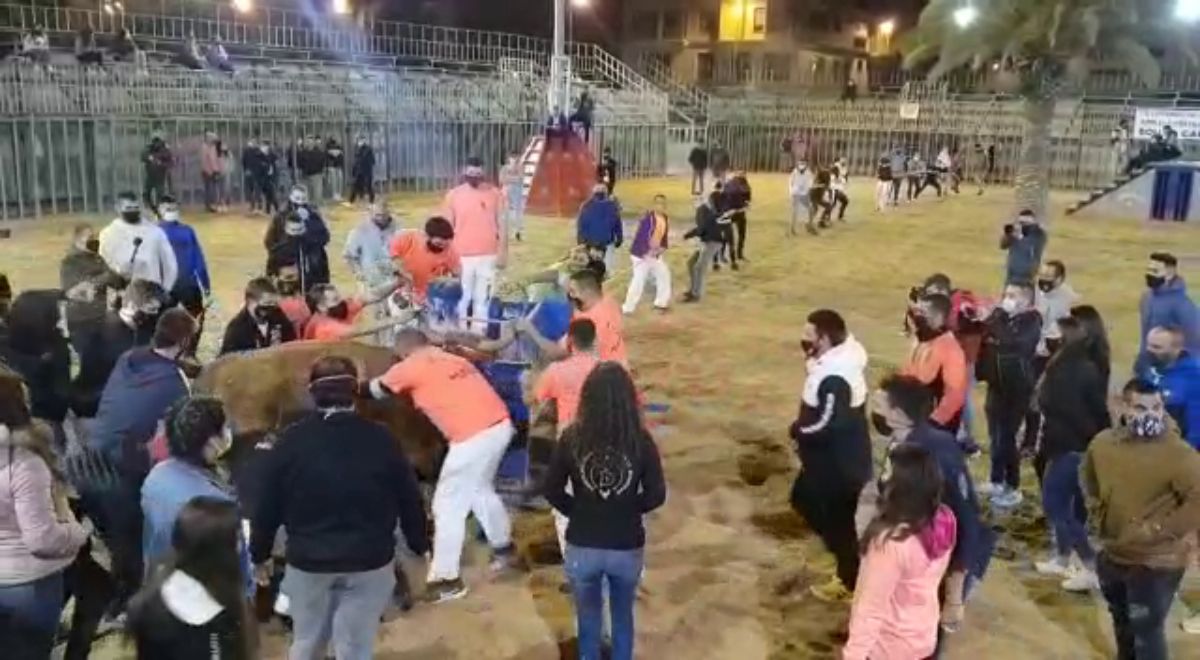 Polémica por la celebración del 'bou embolat' en Vila-real