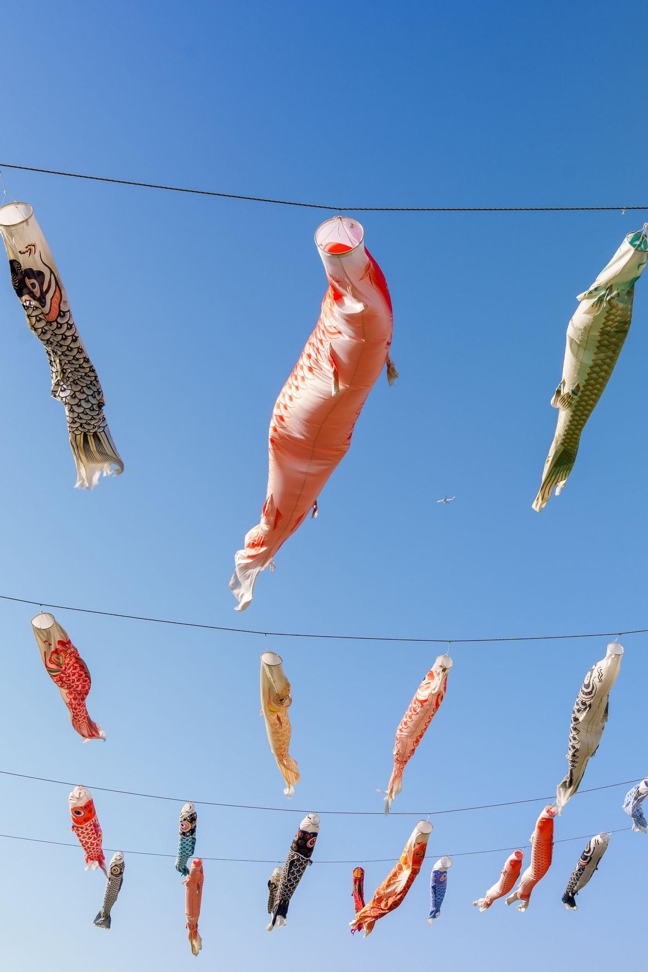 Serpentinas en forma de carpa que se mueven con el viento por el día del niño.