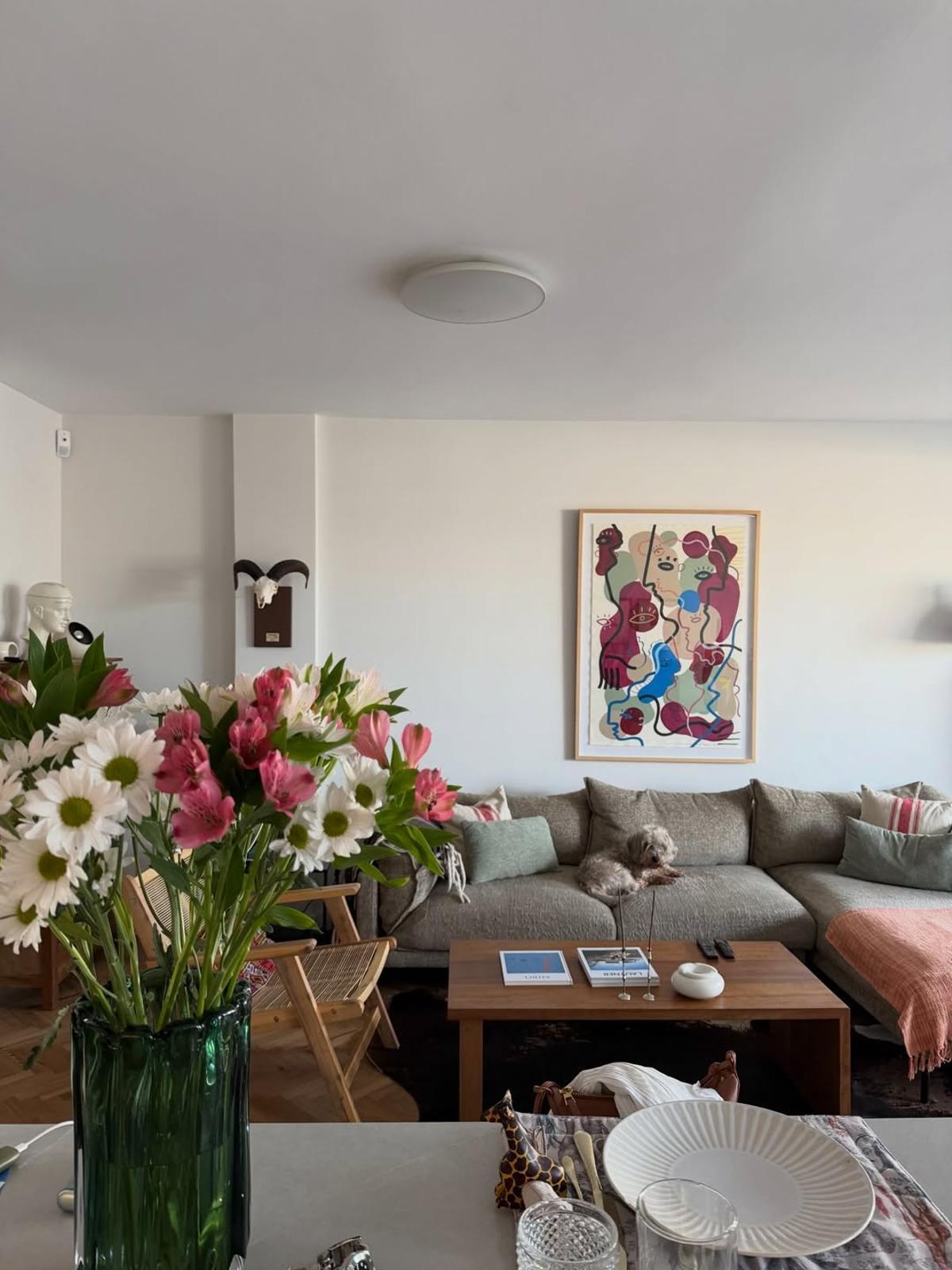 Salón de Lucía Pombo y Álvaro Lopez en Madrid