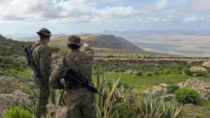 Sis unitats de les Forces Armades estan implicades en la lluita contra el narcotràfic