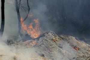 Un rayo provoca un incendio forestal en Bayona